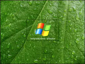 Liść, Wody, Vista, Windows, Krople