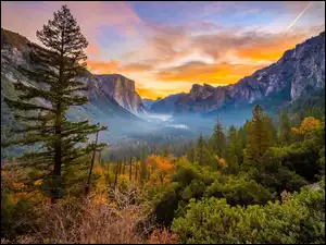 Stany Zjednoczone, Jesień, Kalifornia, Mgła, Góry, Skały, Drzewa, Park Narodowy Yosemite, Krzewy