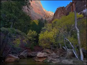 Drzewa, Park Narodowy Zion, Rzeka, Utah, Góry, Virgin River, Stany Zjednoczone, Skały