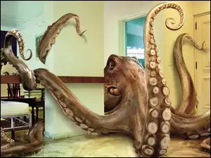 Pokój, Ośmiornica