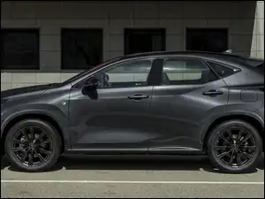 Sport, Lexus NX, F