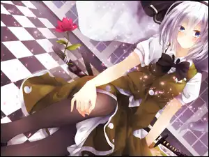 Konpaku Youmu, Touhou