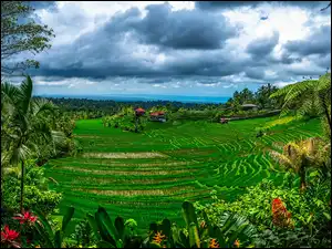 Panorama indonezyjskiej wsi