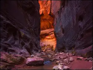 Park Narodowy Zion, Skały, Rzeka, Stan Utah, Kanion, Virgin River, Stany Zjednoczone, Zion Narrows