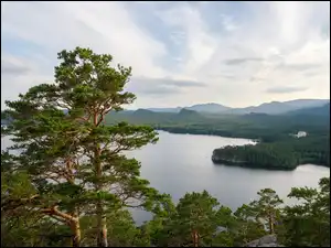 Jezioro Borovoye, Kazachstan, Sosna, Góry, Drzewa, Lasy