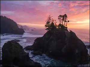 Stany Zjednoczone, Park stanowy, Samuel H Boardman State Scenic Corridor, Chmury, Skały, Morze, Wybrzeże, Drzewa, Wschód słońca, Oregon