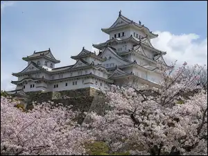 Zamek Białej Czapli, Zamek Himeji, Drzewa, Japonia, Kwitnące, Miejscowość Himeji