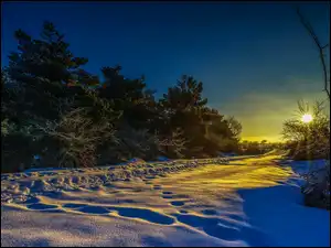 Wschód słońca, Zima, Las