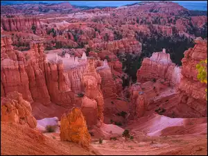 Drzewa, Kanion, Park Narodowy Bryce Canyon, Stany Zjednoczone, Skały, Utah