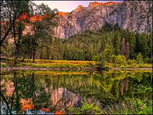 Kalifornia, Park Narodowy Yosemite, Odbicie, Stany Zjenoczone, Drzewa, Rzeka, Skały