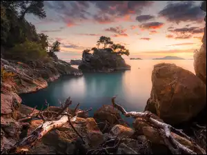 Morze, Skały, Włochy, Zachód słońca, Liguria, Drzewa, Kamienie