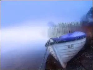 Trawa, Jezioro, Mgła, Łódka