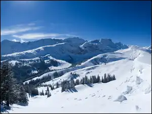 Śnieg, Las, Wysokość, Góry, Zaspy
