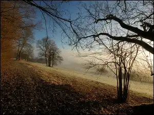 Las, Jesień, Zbocze, Góra, Liście