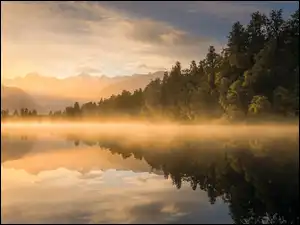 Jezioro, Las, Drzewa, Mgła