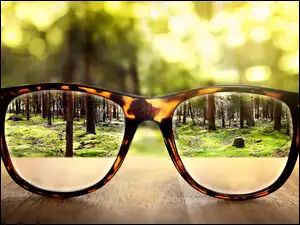 Okulary, Park