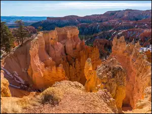 Skały, Kanion, Stany Zjednoczone, Góry, Stan Utah, Park Narodowy Bryce Canyon, Drzewa