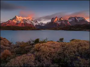 Jesień, Chile, Torres del Paine, Roślinność, Patagonia, Jezioro, Park Narodowy Torres del Paine, Góry