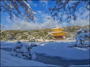 Świątynia Kinkaku ji, Złoty Pawilon, Japonia, Zima, Kioto, Drzewa, Staw Kyko chi