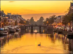 Rzeka Spaarne w Holandii