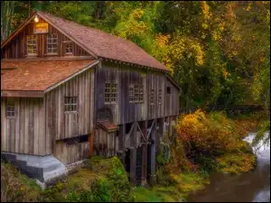 Woodland, Młyn, Las, Stan Waszyngton, Cedar Creek Grist Mill, Drzewa, Stany Zjednoczone, Rzeka