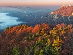 Jesień, Mgła, Lasy, Góry, Drzewa, Kolorowe, Dolina