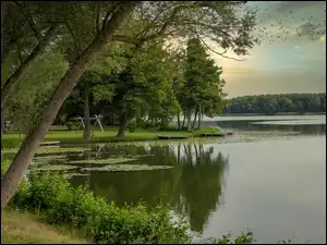 Ptaki nad parkiem i jeziorem Lycensee