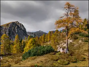 Chmury, Pożółkłe, Jesień, Góry, Kamienie, Trawa, Drzewa