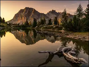 Góry, Dolomity, Konar, Włochy, Drzewa, Lago Limides, Jezioro