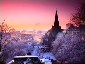 Zima, Wielka Brytania, Budynki, Kościół, Drzewa, Glasgow, Szkocja