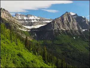 Park Narodowy Glacier, Stany Zjednoczone, Lasy, Góry Skaliste, Montana