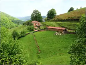 Owiec, Góry, Łąki, Wypas