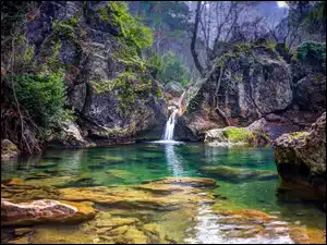Rzeka, Drzewa, Omszałe, Kamienie, Strumień, Skały