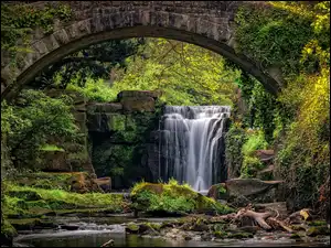 Wodospad w Jesmond Dene Park w Anglii