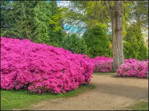 Park Sheffield