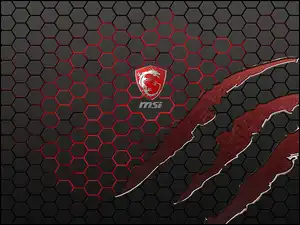 MSI