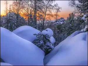 Śnieg, Zachód słońca, Drzewa, Zima, Zaspy
