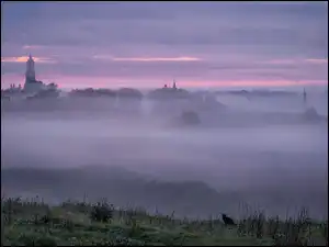 Mglisty poranek nad miastem