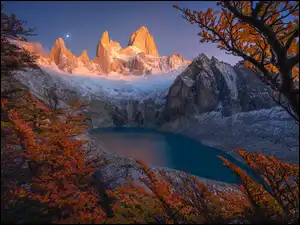 Patagonia, Góry, Drzewa, Argentyna, Jezioro, Fitz Roy, Szczyt
