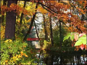 Jesień, Park, Liście, Jezoro, Kolorowe, Most