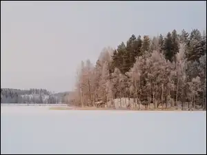 Śnieg, Zaśnieżone, Herttuala, Jezioro, Las, Gmina Savonlinna, Zima, Drzewa, Sylkky Lake, Domy, Finlandia