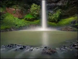 Pakoka River, Wodospad, Rośliny, Region Waikato, Bridal Veil Falls, Rzeka, Nowa Zelandia, Skały