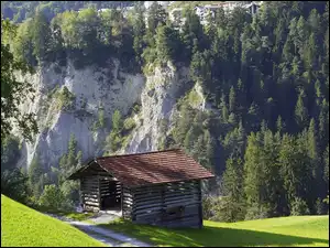 Szopa w dolinie Renu w Kantonie Gryzonia w Szwajcarii