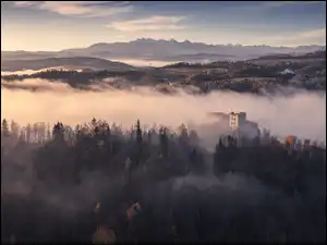 Zamek Czorsztyn we mgle