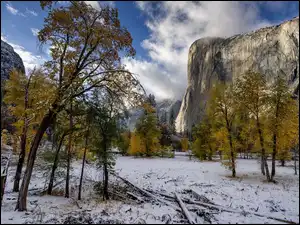 Stany Zjednoczone, Śnieg, Park Narodowy Yosemite, Drzewa, Góry, Jesień, El Capitan, Szczyt, Żółte, Stan Kalifornia