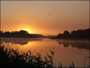 Świt, Jezioro, Wschód słońca