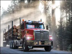 Western Star 49X, Kłody, Przebijające światło, Ciężarówka, Droga, Las, Drewna