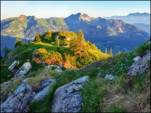 Drzewa, Góra Saukarkopf, Skały, Trawa, Góry, Krzyż, Austria, Niskie Taury