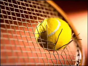 piłka do tenisa, Tennis