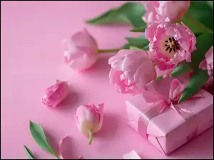 Prezent, Grafika, Tulipany, Różowe, Wstążka
